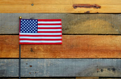 Here's what you need to know before importing wood and wood products into the United States.