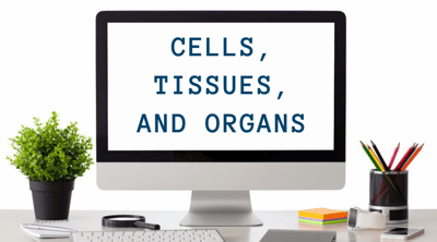 Cells, Tissues, and Organs_SWI_Computer_Series
